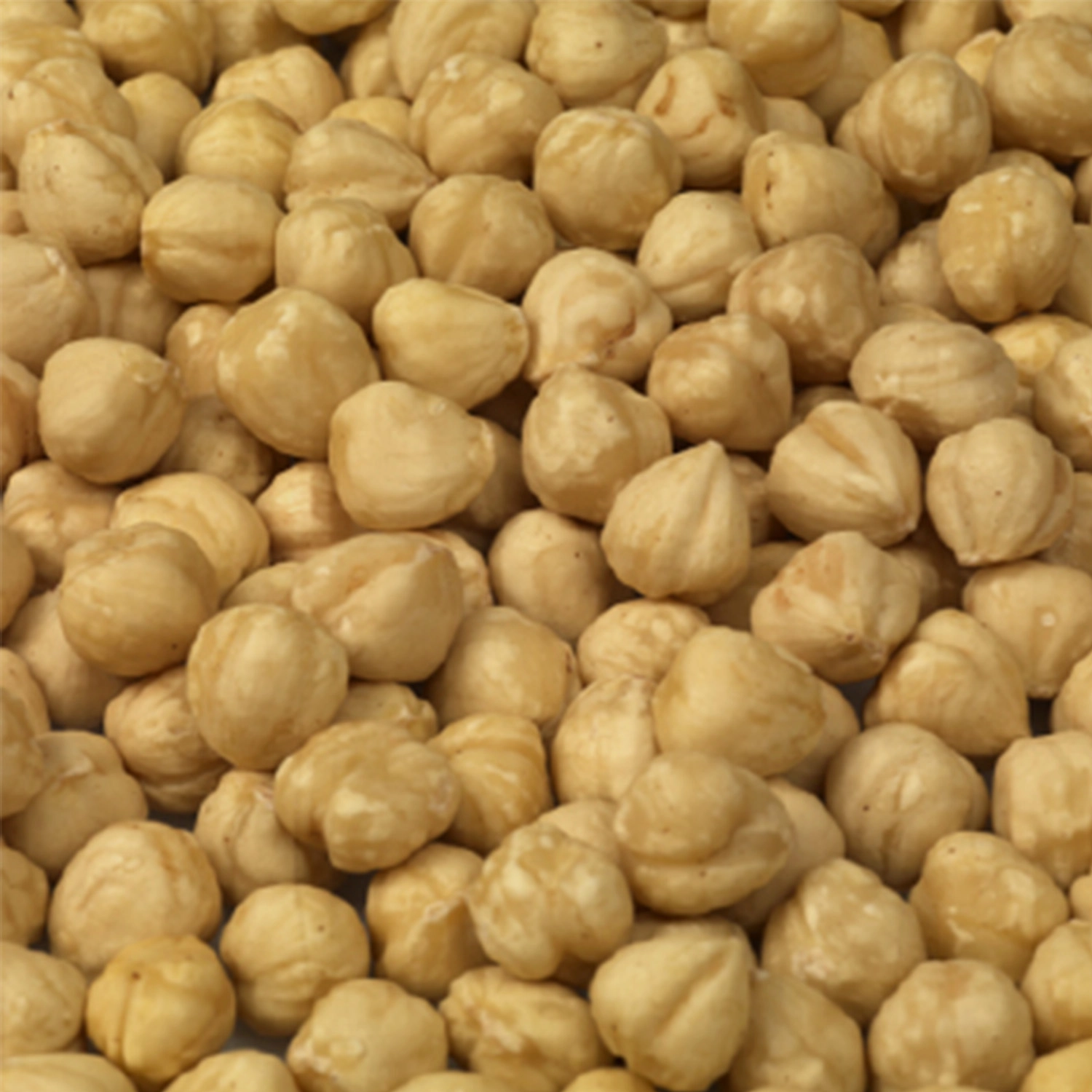 Gürsoy Kavrulmuş İç Fındık 5 kg (13-15 mm Kalibre) - 1. Kalite Bütün Fındık - Vakumlu Paket