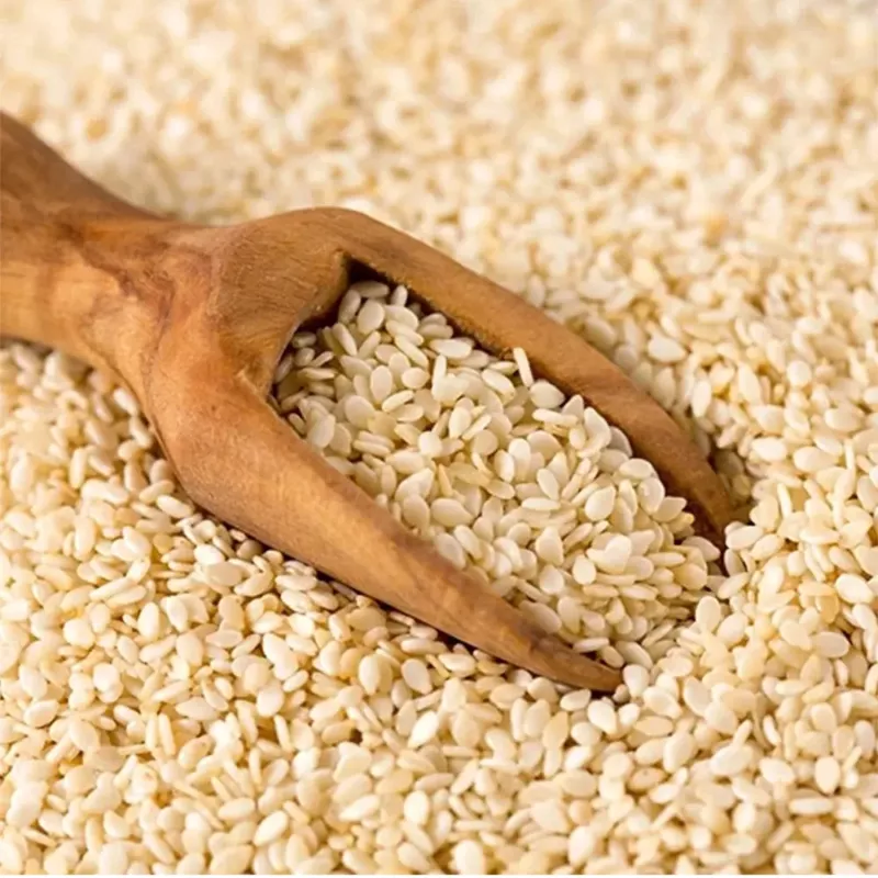 Progün Yanmaz Beyaz Susam 1 kg