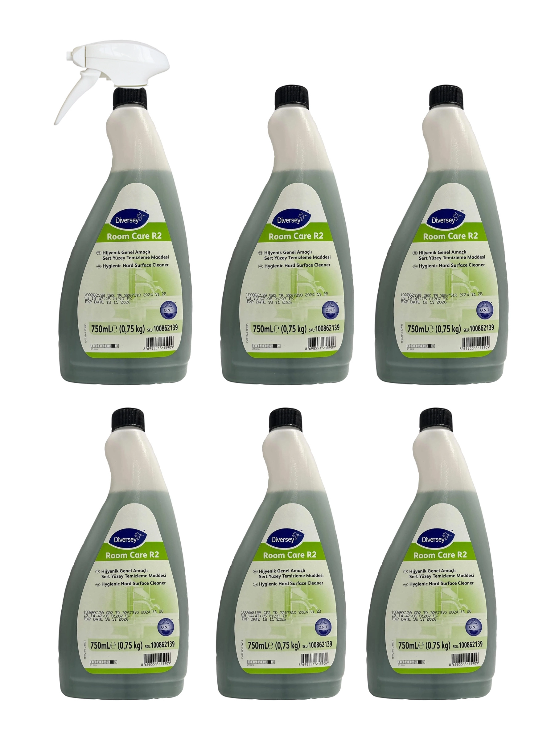 Diversey Room Care R2 Çok Amaçlı Hijyenik Yüzey Temizleyici 750 ML