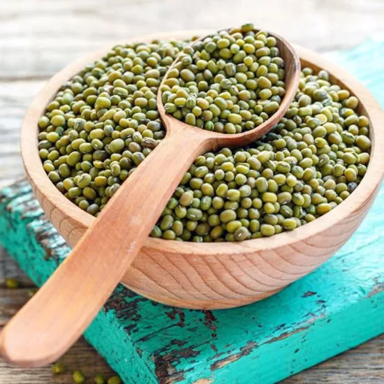 Yayla Maş Fasulye 5 Kg Büyük Boy