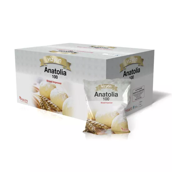 Vizyon Anatolia Ekmek Geliştirici 5 Kg (100 g x 50 Adet)