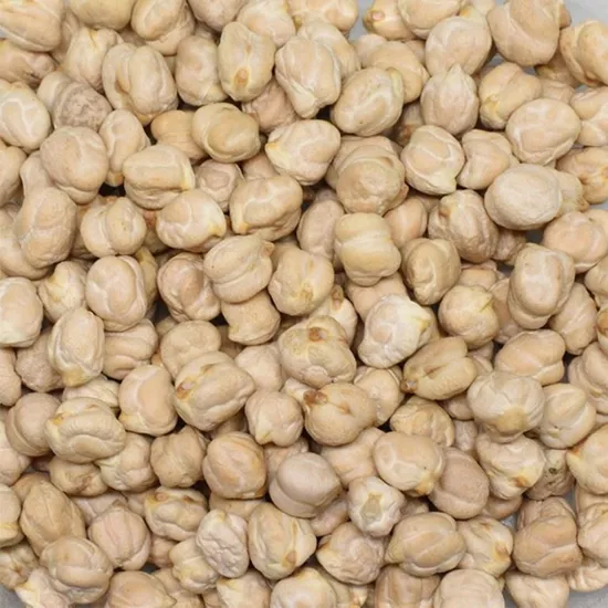 Tat Bakliyat Koçbaşı Çok İri Boy Kabak Nohut 25 Kg – 1. Sınıf