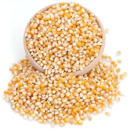 Yayla Patlayan Cin Mısır 5 Kg Yerli Üretim