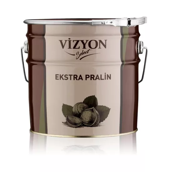 VizyonSelect Ekstra Pralin Kakaolu Fındık Kreması 10 kg | Profesyonel Pastacılık